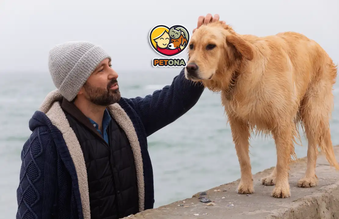 هزینه نگهداری سگ در ایران