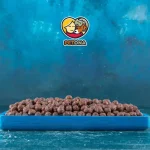 خرید غذای گربه با کیفیت در مشهد