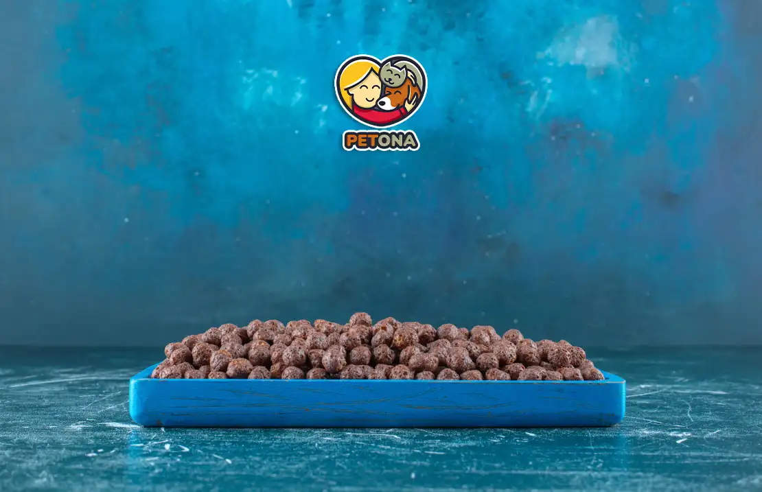 خرید غذای گربه با کیفیت در مشهد