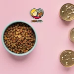 گرم کردن کنسرو گربه