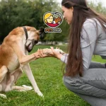 آموزش دست دادن به سگ