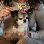 بهترین برس و شانه برای سگ