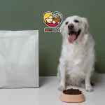 کدام غذای سگ بهتر است