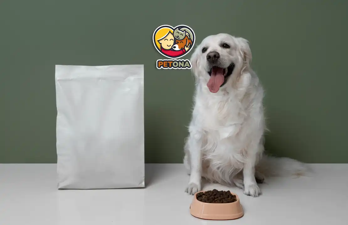 کدام غذای سگ بهتر است