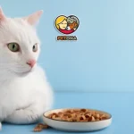 غذای سگ و گربه رویال کنین