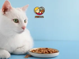 غذای سگ و گربه رویال کنین