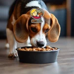 بهترین غذای سگ