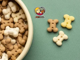 غذای وینستون برای سگ و گربه